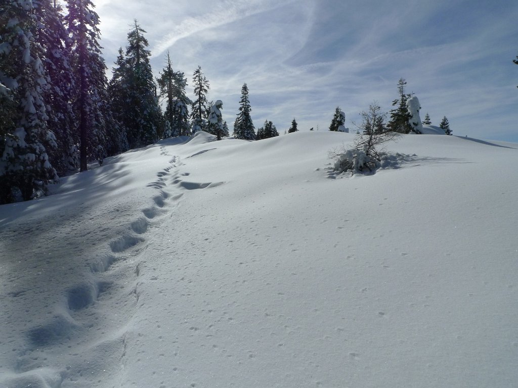Christmas2010 047.JPG
